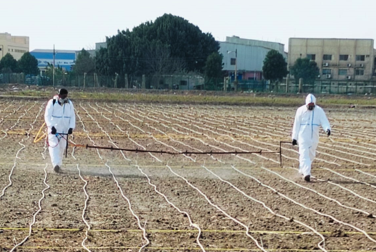 Crop Protection Innovation 