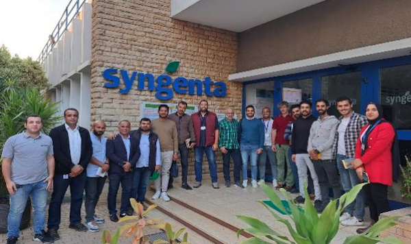 Syngenta Egypt Team 