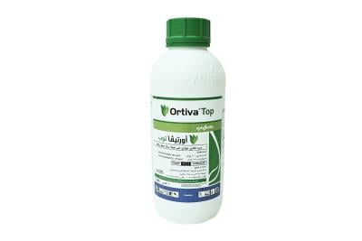 Ortiva top