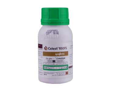 Celest