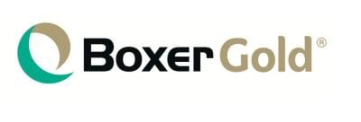 Boxer gold image