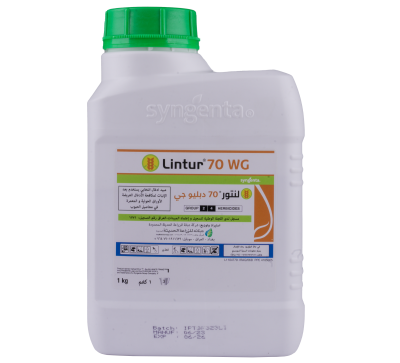 Lintur Image 2