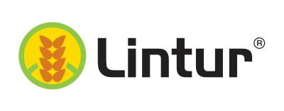 Lintur image