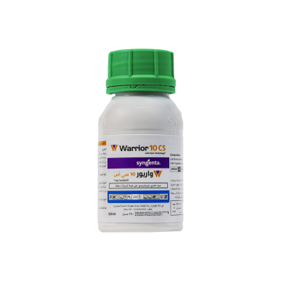Warrior 10 CS