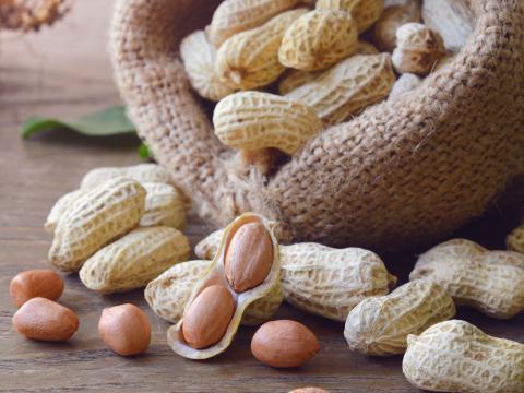 peanuts_farming photo