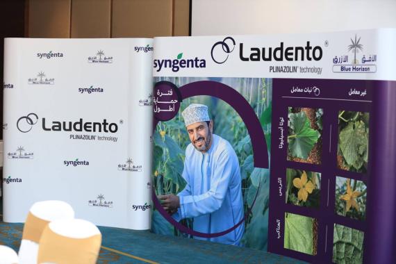 laudento-oman.jpg