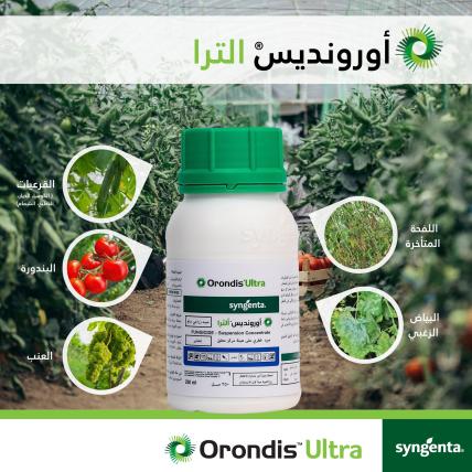 orondis_2.jpg