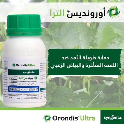 orondis_3.jpg