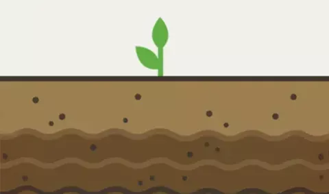 Nutrient use efficiency (NUE) products