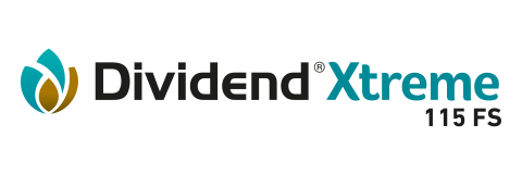 Dividend Extreme image