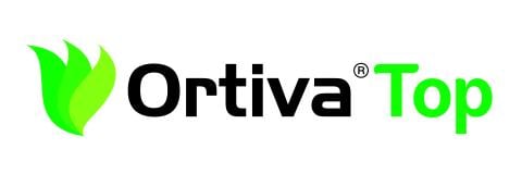 Ortiva top