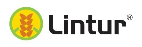 Lintur image