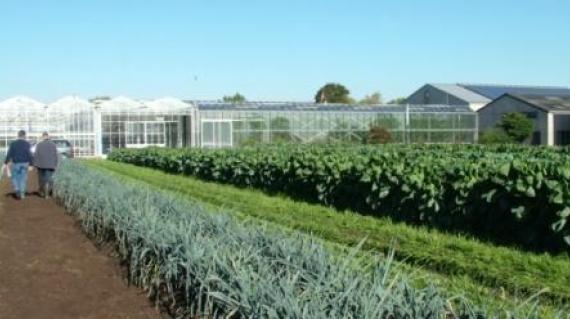 Our R&D Activities: Driving Agricultural Innovation 
