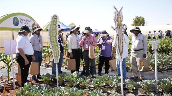 Crop Protection Efficacy Trials image
