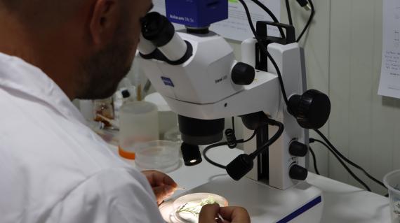 About Crop Protection Development Knowledge Center image