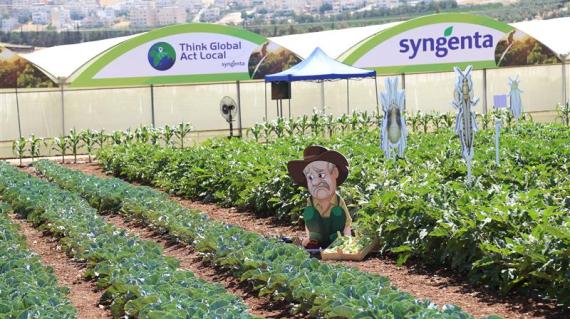 Crop Protection Efficacy Trials image