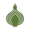 onion_image