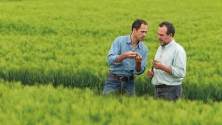 Crop Protection 