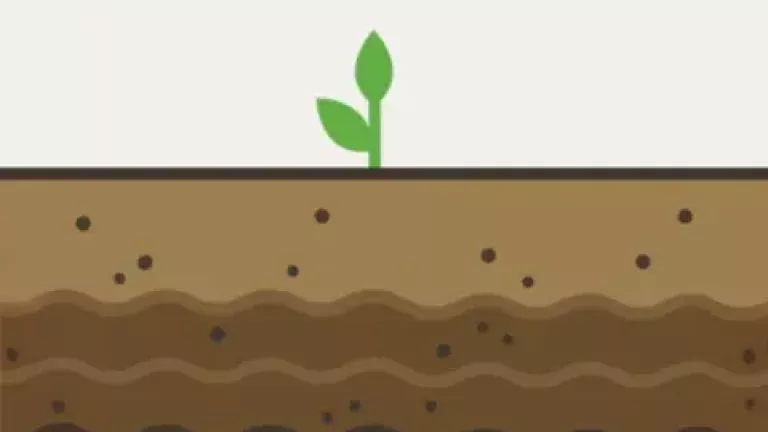 Nutrient use efficiency (NUE) products