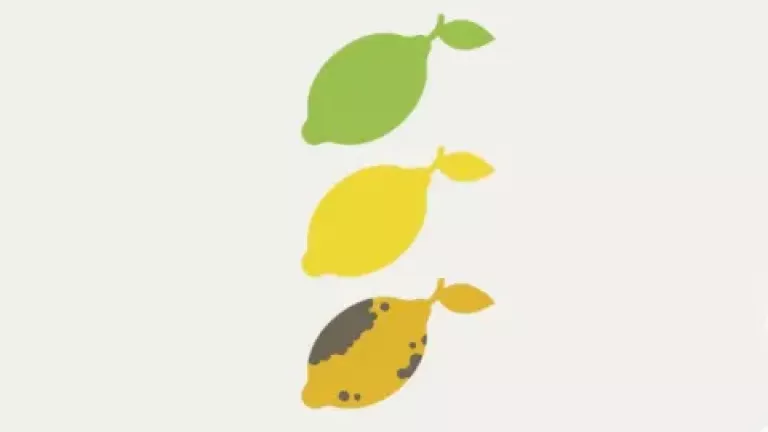 Biocontrols