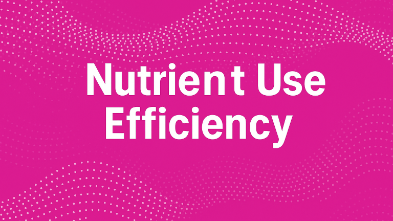 Nutrient Use Efficiency 