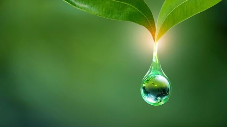 Sustainability