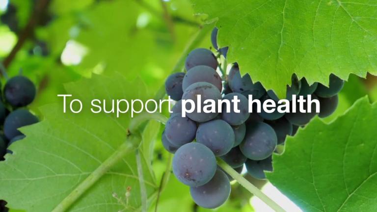 Biologicals to harness the power of nature