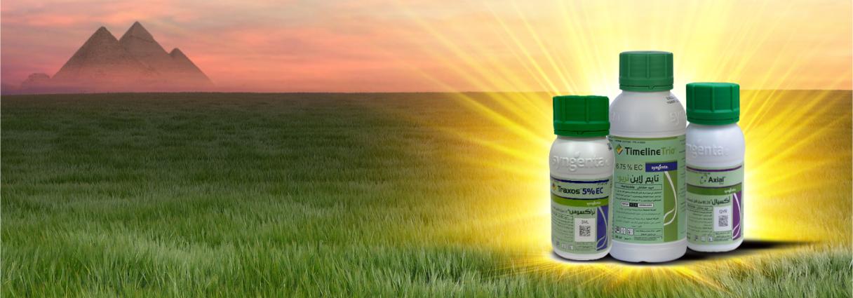 Egypt Herbicide Campaign Key Visual