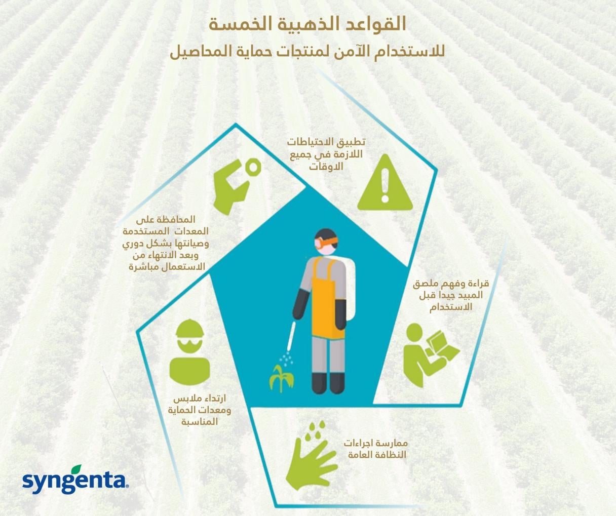 Arabic infographic on safe pesticide use, with farmer icons and Syngenta logo