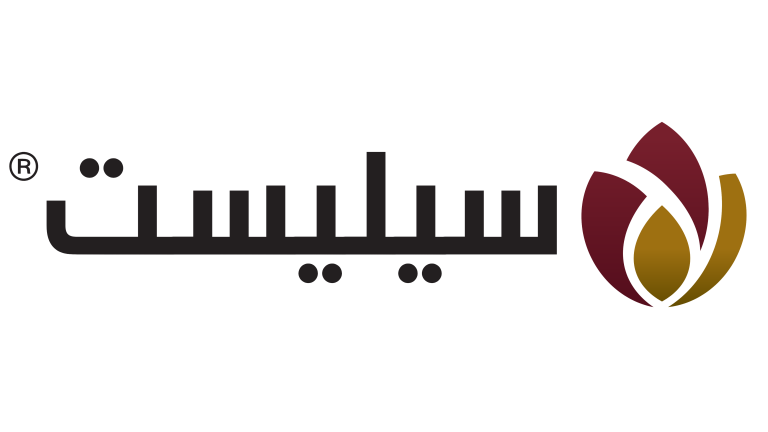 celest logo