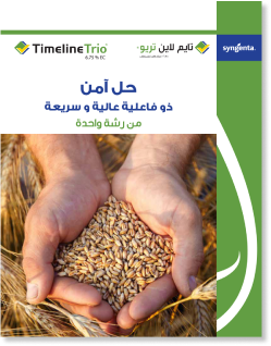 Timeline Trio Leaflet